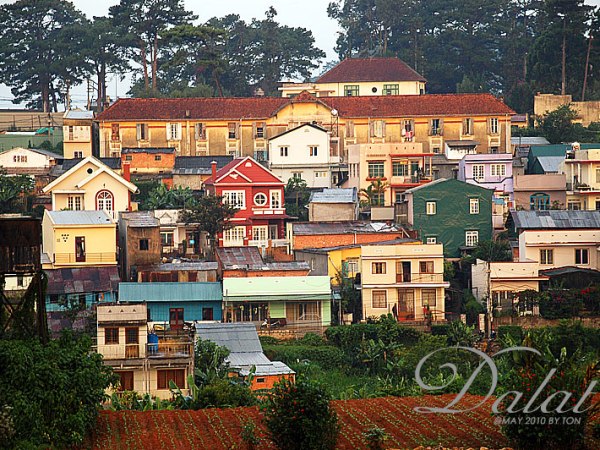 เที่ยว Dalat กับ&nbsp;Darling