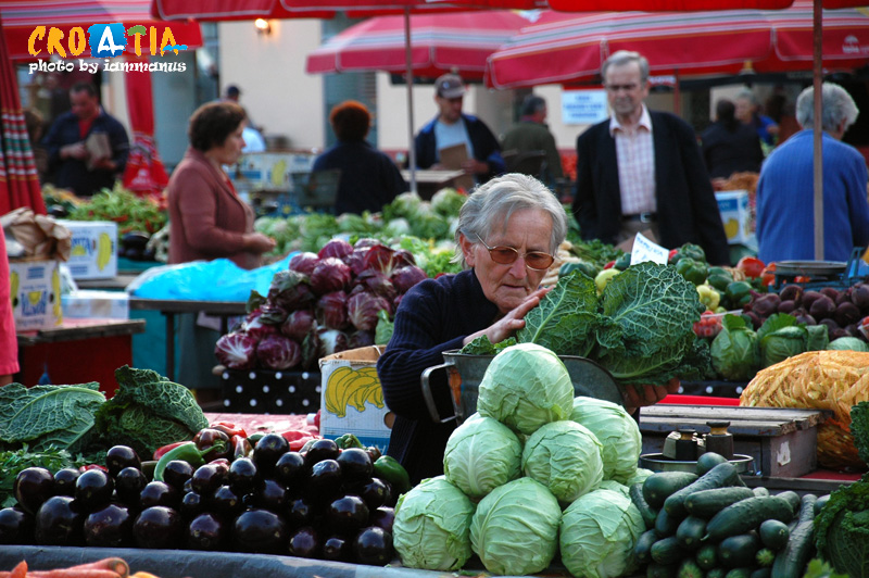 129489061.Oczz6MNU.3WZDSC_0263