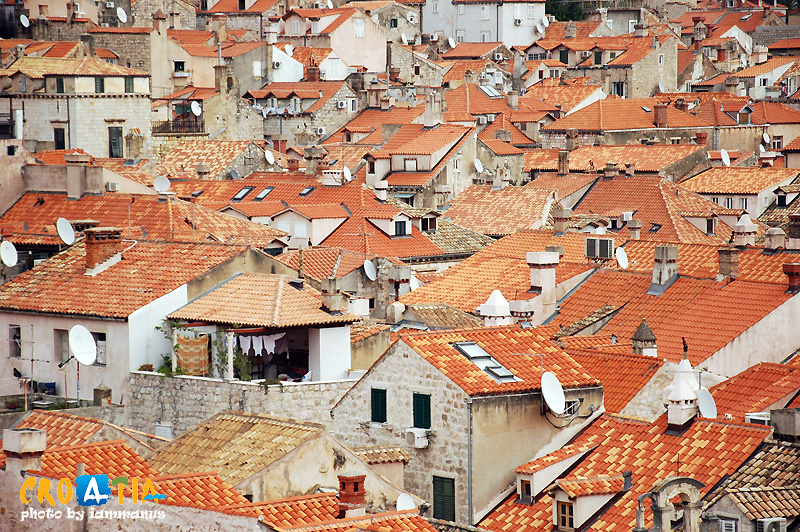 129498402.J8RZO7rK.1WDBVDSC_1556