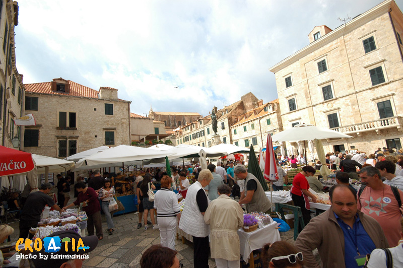 129498412.MCMZyFpo.1WDBVDSC_1619