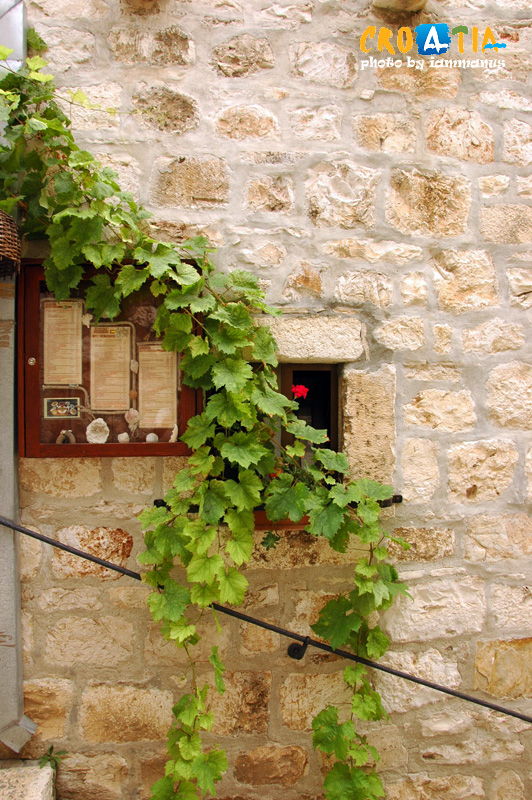 129498424.0scJLpzv.1WHVDSC_0980