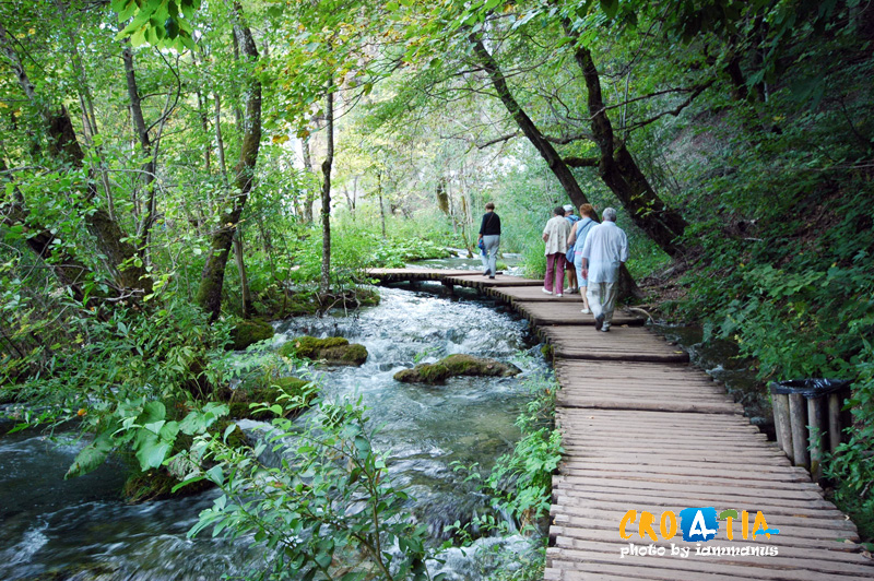 129529188.kb408aSG.2WPLDSC_0410