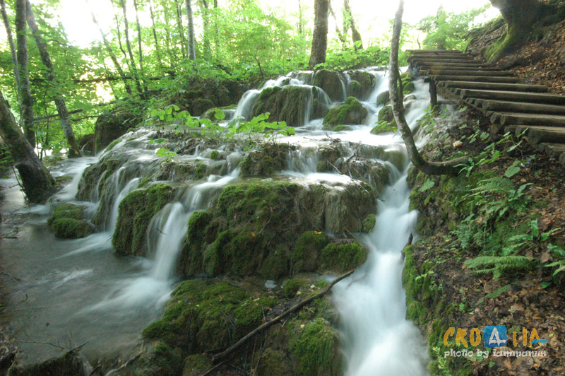 129529192.Yjk5416Z.2WPLDSC_0459