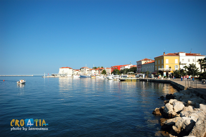 129529205.pzINhv2o.2WPODSC_9955