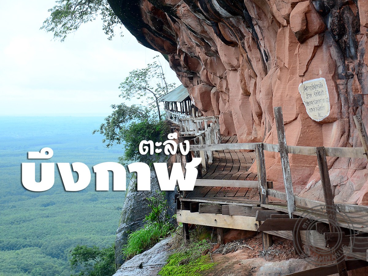 ตะลึงบึงกาฬ