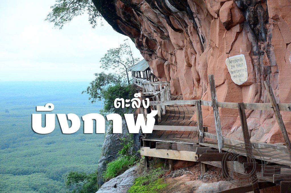 ตะลึงบึงกาฬ