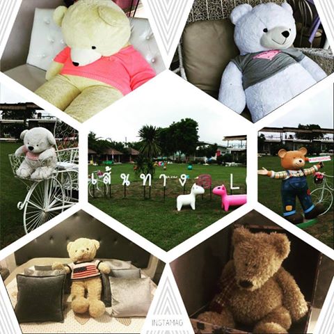 13716097_930104060433827_6269595549340267141_n