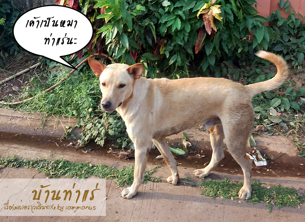 WIMG_20160417_165714