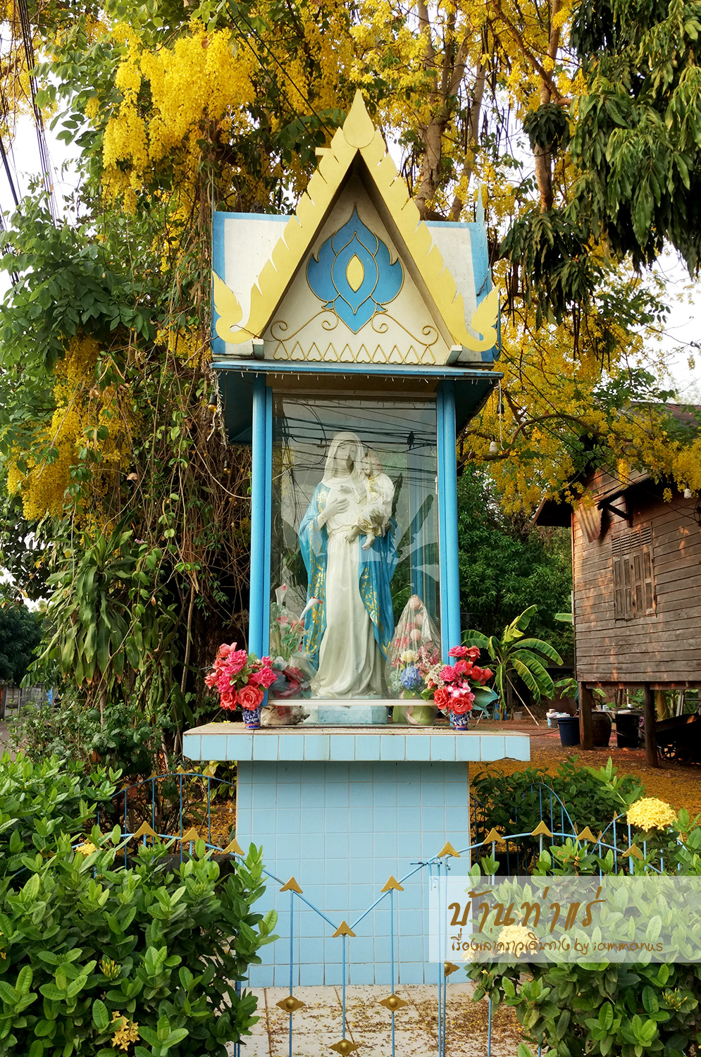 WIMG_20160417_170542