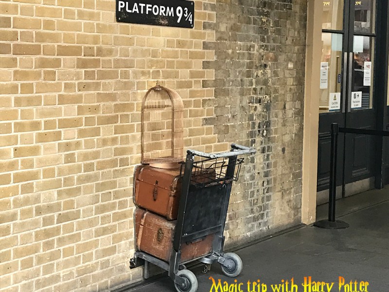 Magical trip with Harry&nbsp;Potter