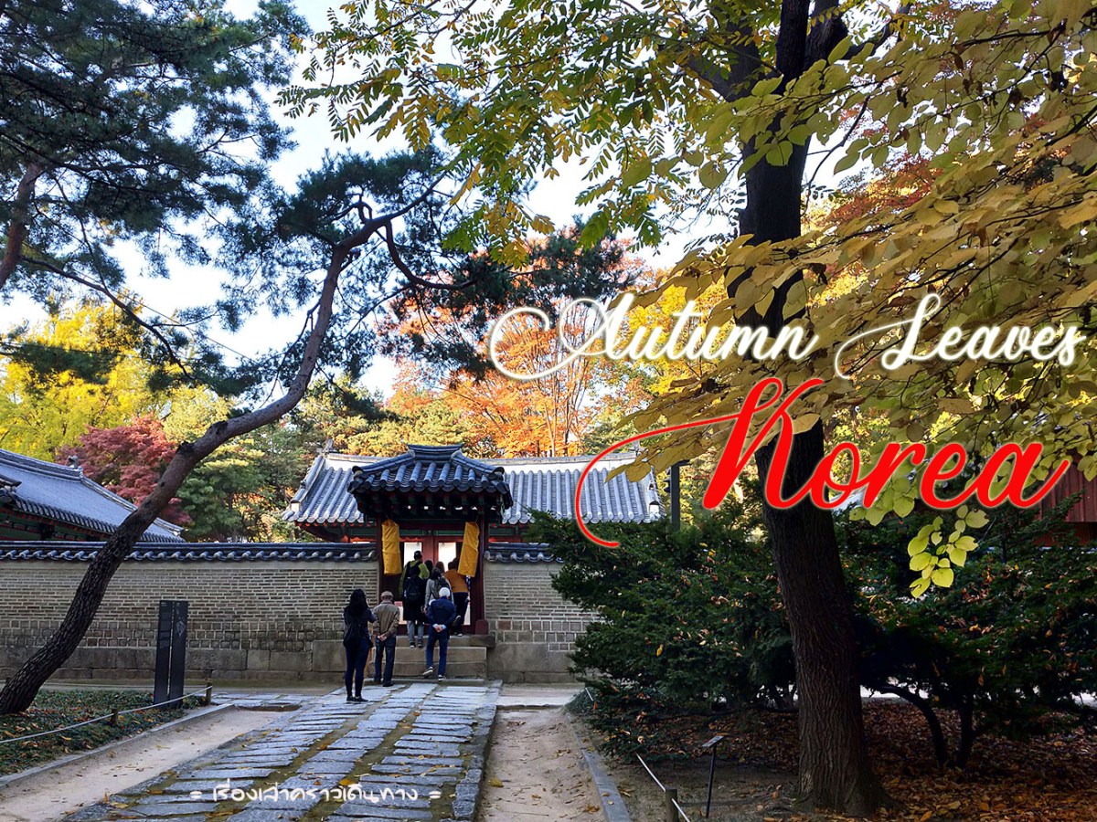 ใบไม้เปลี่ยนสีที่เกาหลีกันอีกครั้ง