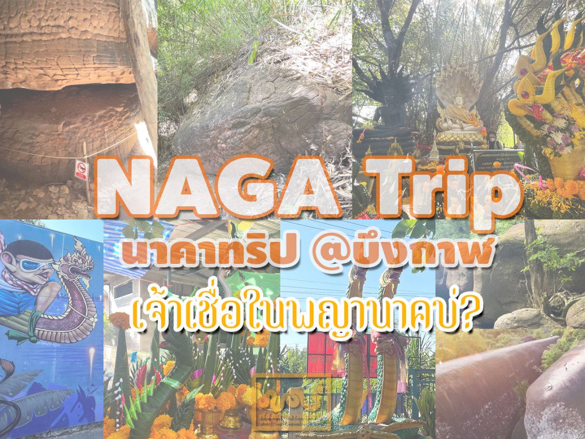 นาคาทริป @บึงกาฬ