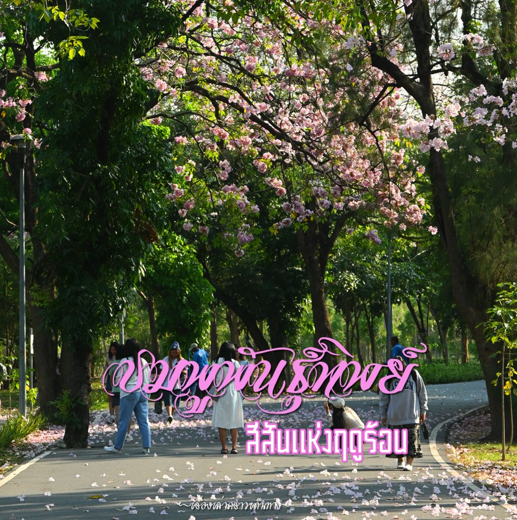 กรุงเทพฯ วันนี้สีชมพู