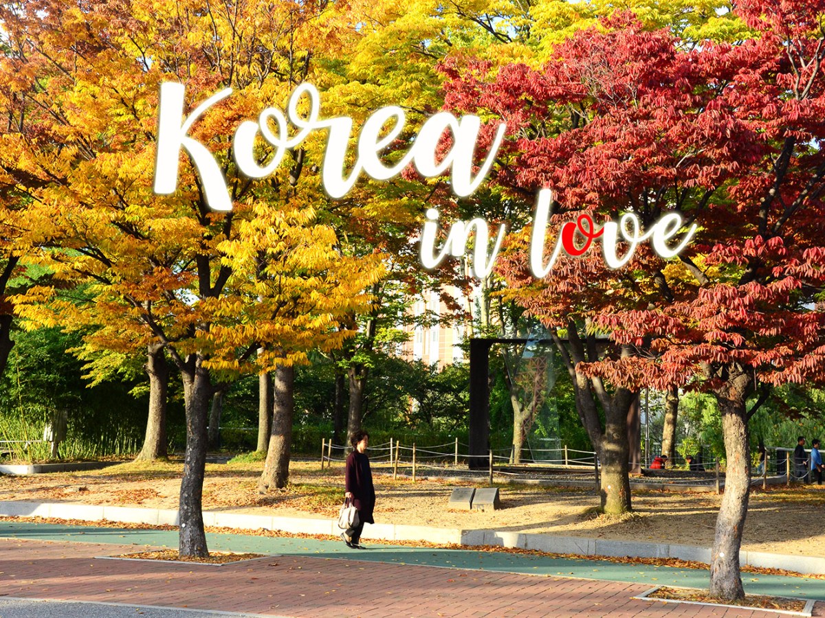 Korea in Love