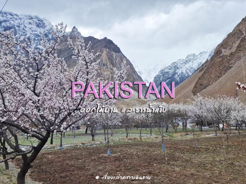 ปากีสถาน ดอกไม้บานและธารน้ำแข็ง ตอน&nbsp;1