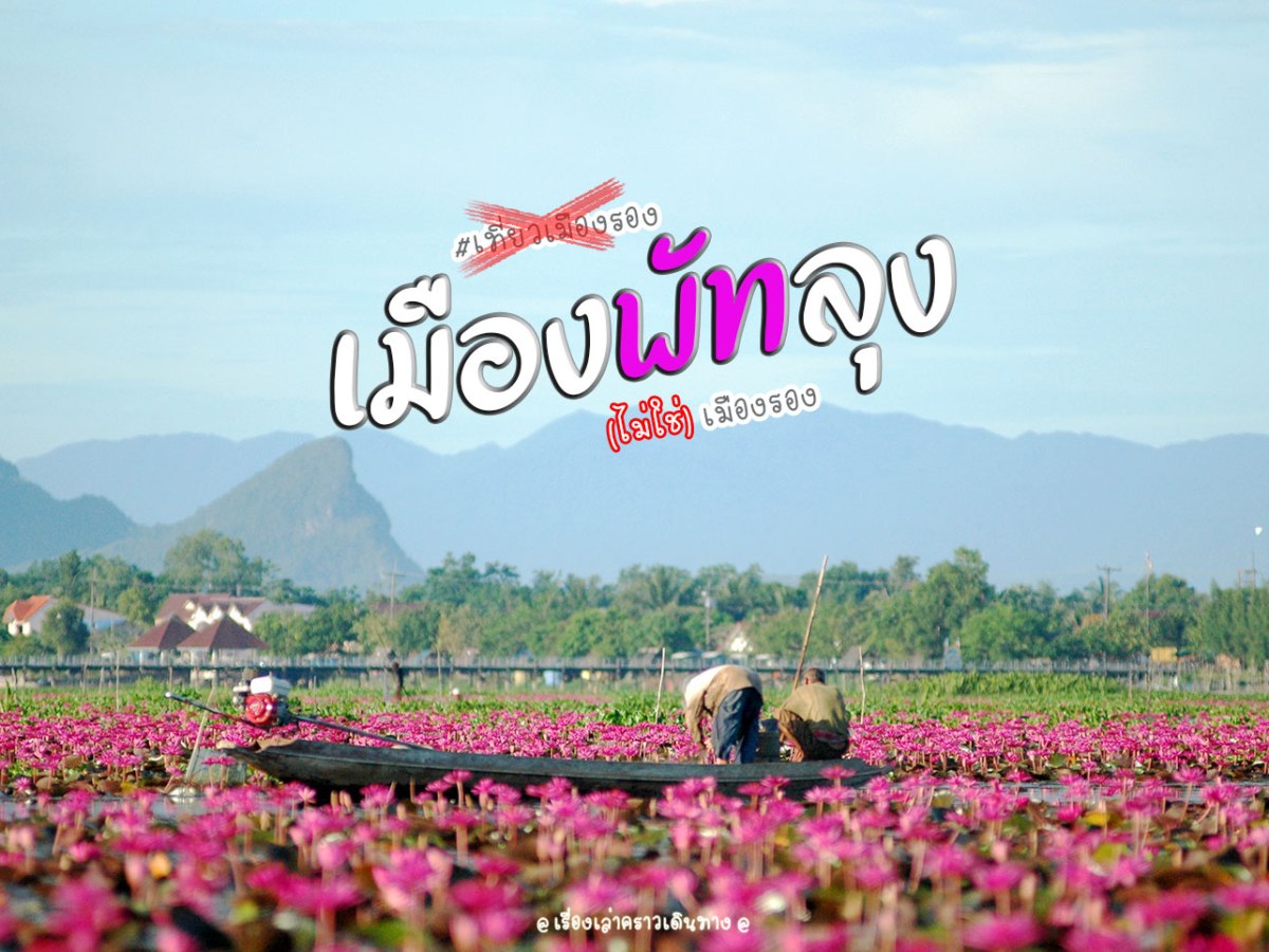 เมือง(พัท)ลุง (ไม่ใช่)เมืองรอง