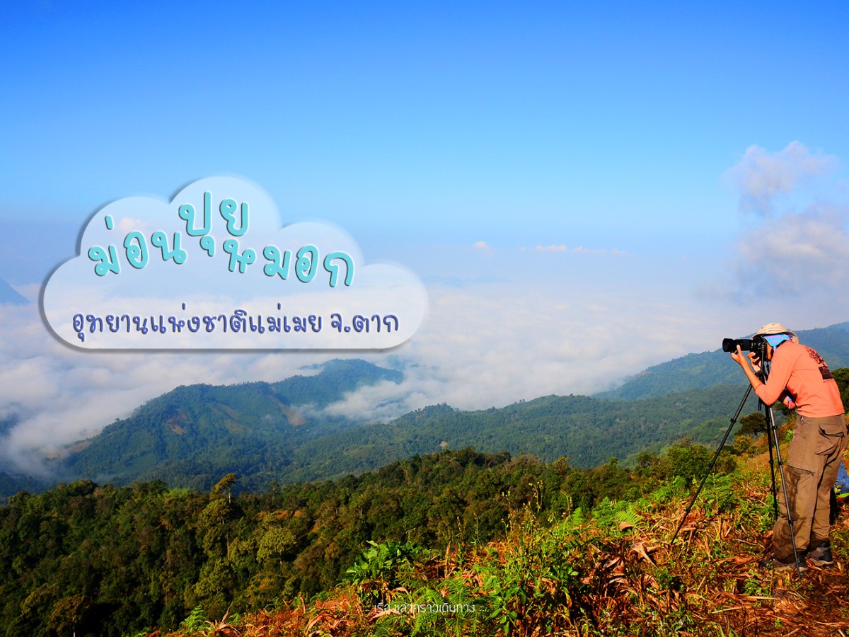 หมอกฟูๆที่”ม่อนปุยหมอก” อช.แม่เมย