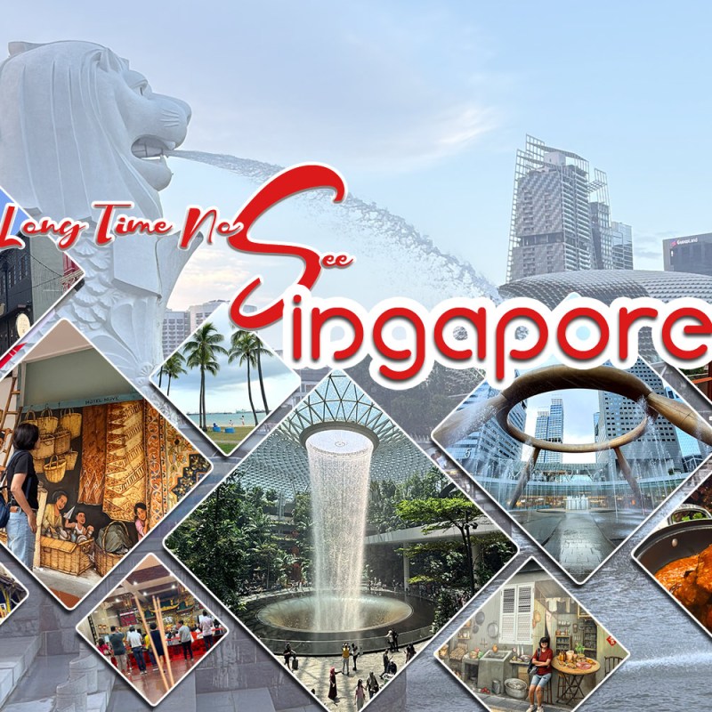 Long Time No&nbsp;S(ee)ingapore