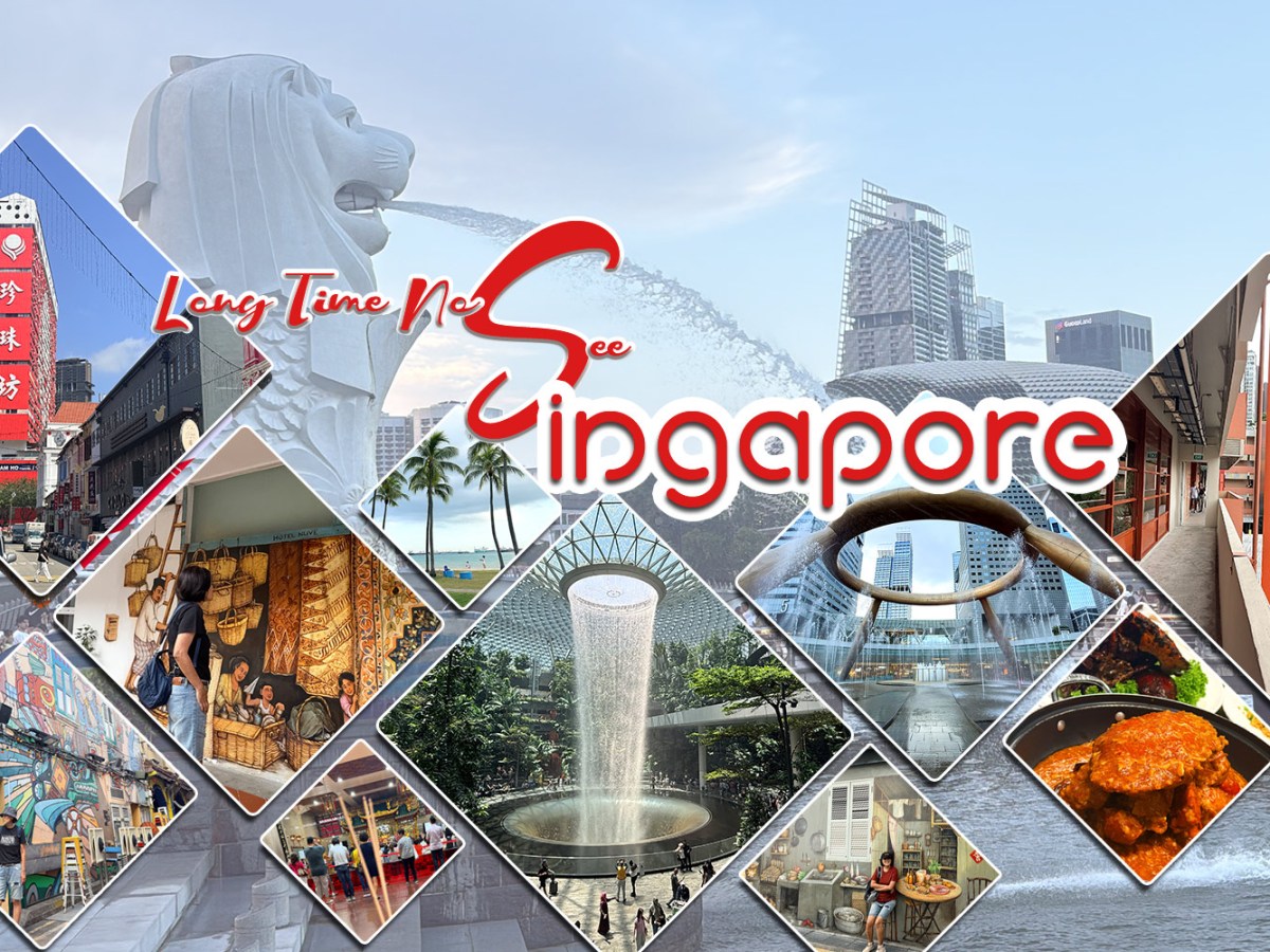 Long Time No&nbsp;S(ee)ingapore